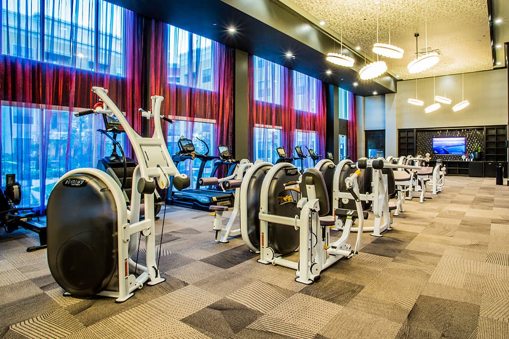 Elysian Living fitness centers